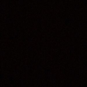 Meet your Posher, Lanie